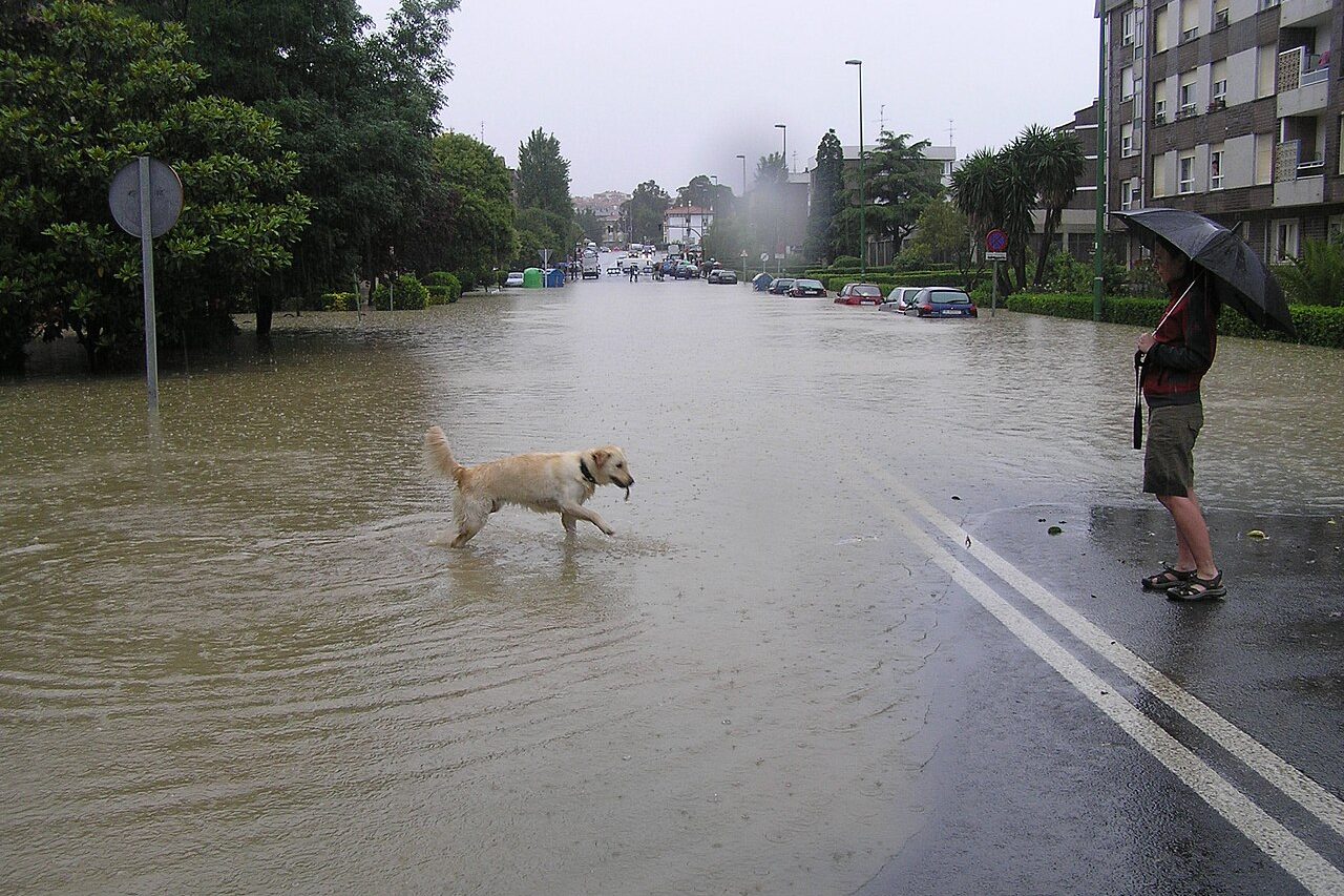 Passeios seguros: calor, chuva e asfalto quente